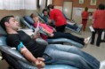 /album/fotogaleria-inicio/donaciones-madrid-31072015-consalud-jpg/